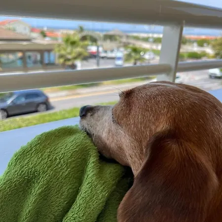 Esplanade 3* Marina di Pietrasanta