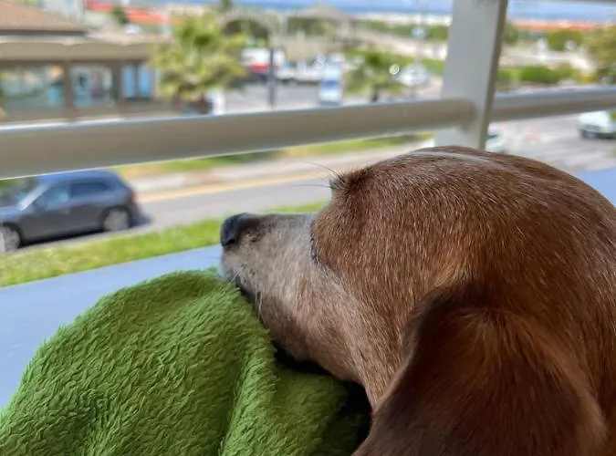 Esplanade 3* Marina di Pietrasanta